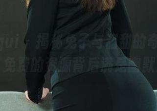 丽柜ligui - 揭秘兔子与甜甜的奇幻众筹，免费的资源背后满是幽默！
