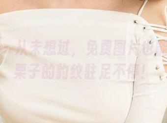 尤果网 - 从未想过，免费图片也能让人对栗子的豹纹驻足不停！