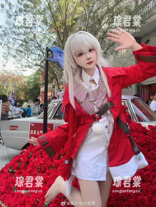 阳炎型小菠萝的森蚺图册：元气满满的原图背后也有惊喜！-琮君棠